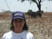 Elephant Woman?
